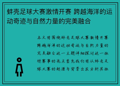 蚌壳足球大赛激情开赛 跨越海洋的运动奇迹与自然力量的完美融合