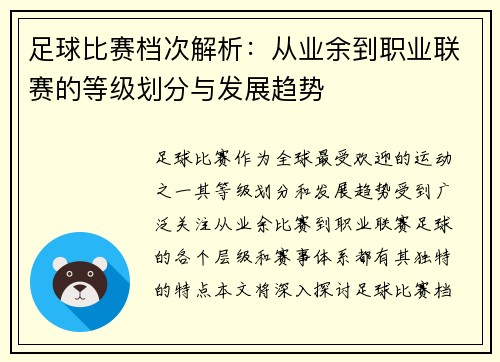 足球比赛档次解析：从业余到职业联赛的等级划分与发展趋势