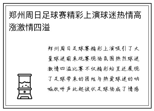 郑州周日足球赛精彩上演球迷热情高涨激情四溢