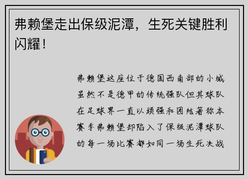 弗赖堡走出保级泥潭，生死关键胜利闪耀！
