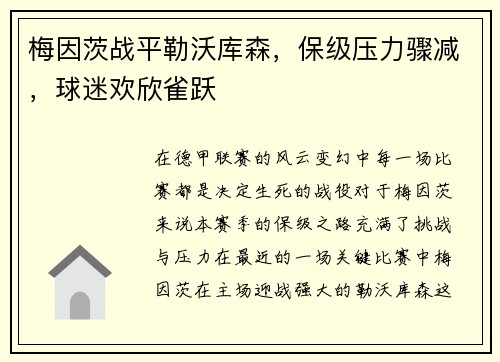 梅因茨战平勒沃库森，保级压力骤减，球迷欢欣雀跃
