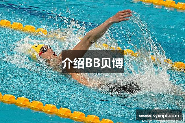介绍BB贝博